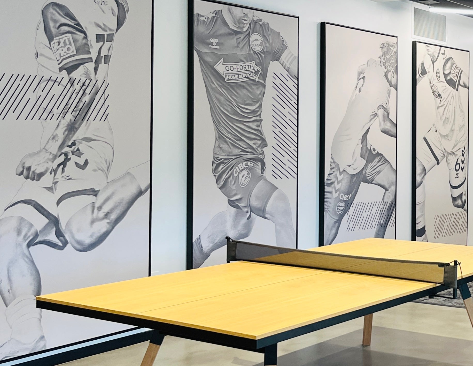 Sports Venue: Acoustic Wall Art