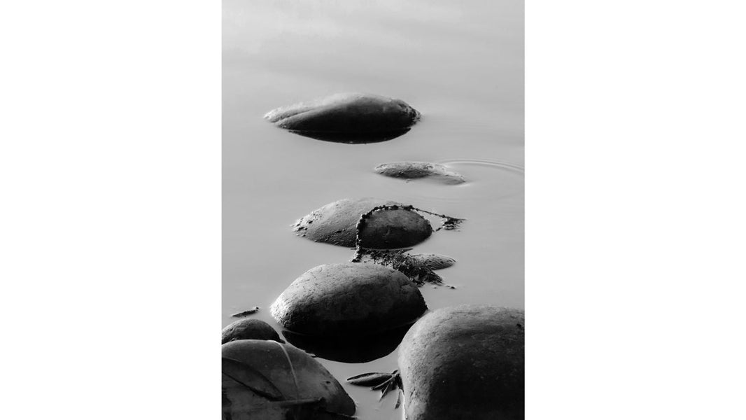 How to Identify High Quality Art Prints: 2026 Guide
