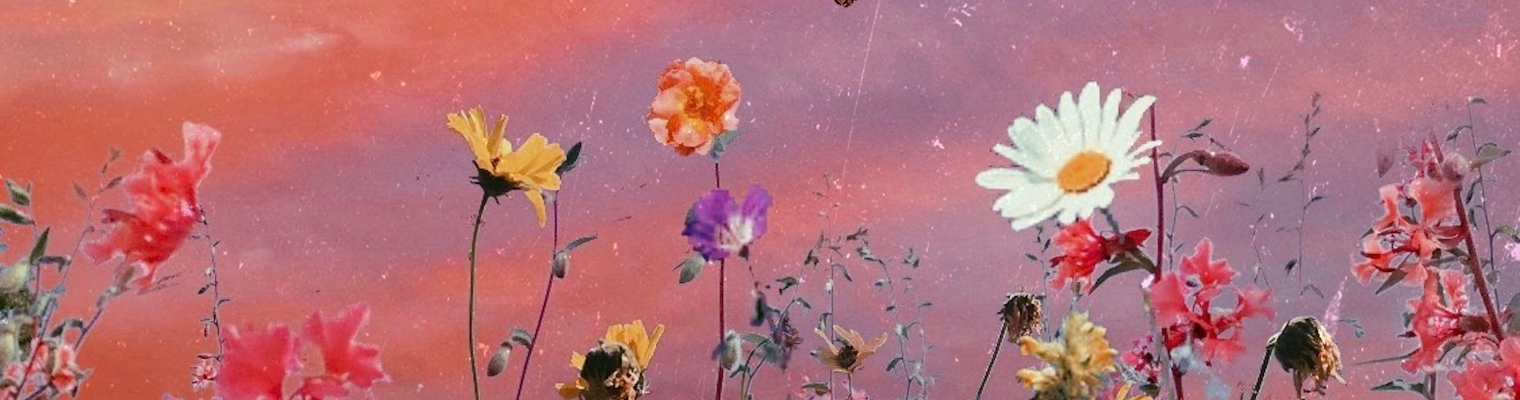 Wall Art - By Subject > Floral and Botanical