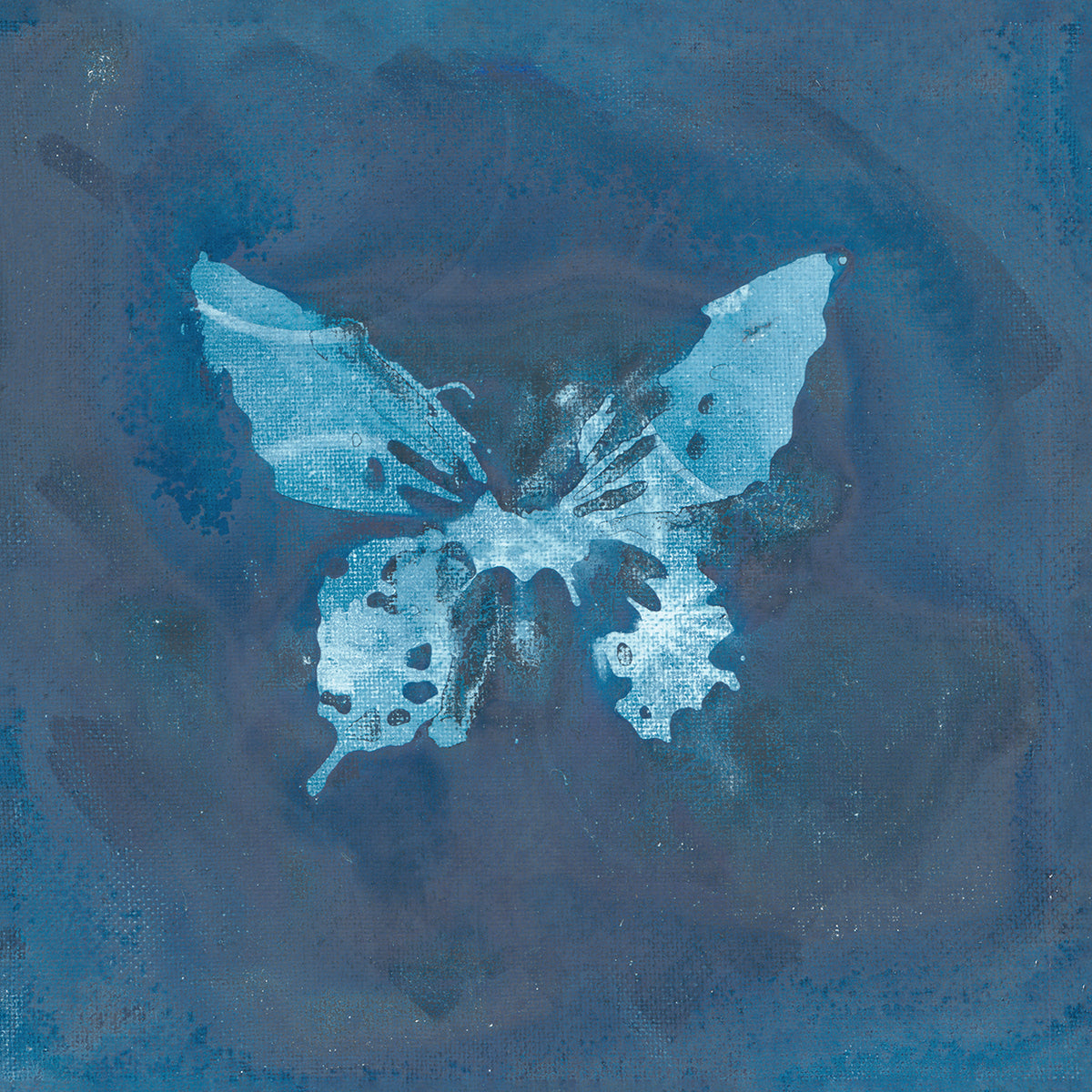 Midnight Specimen