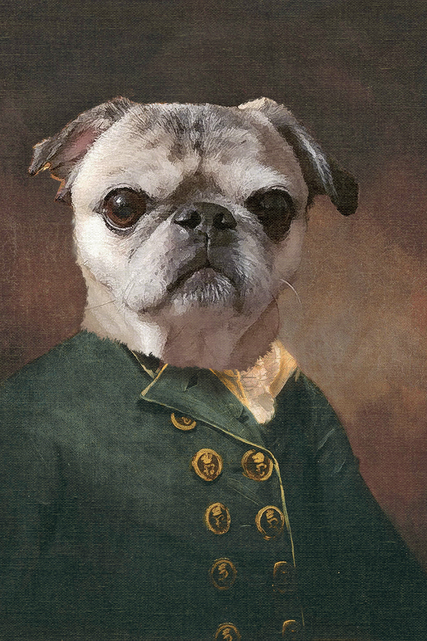Chewie in Green Coat
