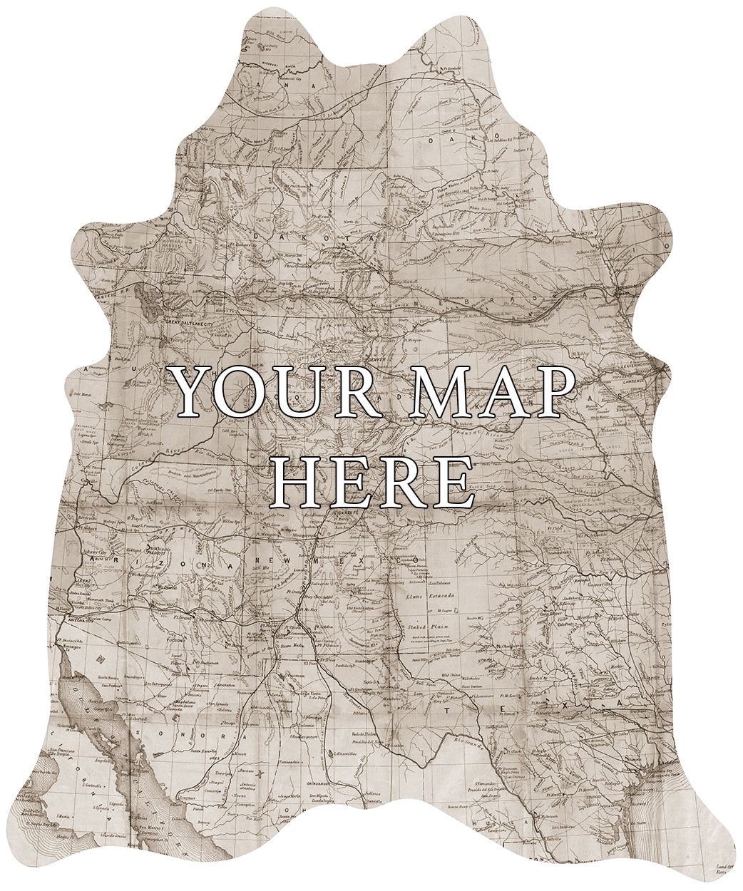Custom Faux Printed Map - Floor Mat - Sepia