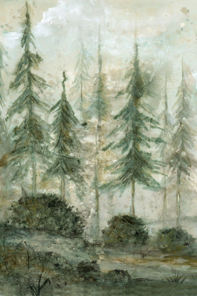 Walk in the Woods