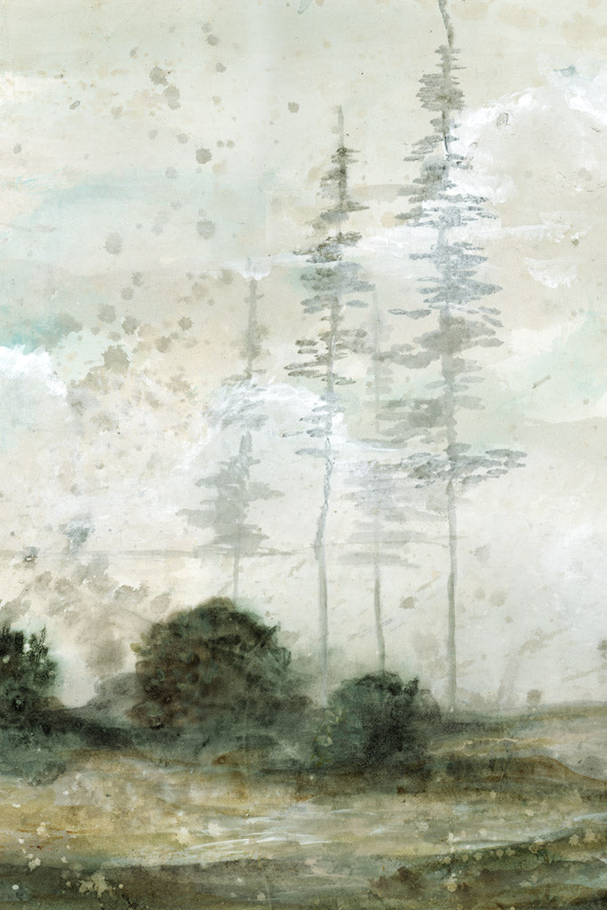 Misty Morning III