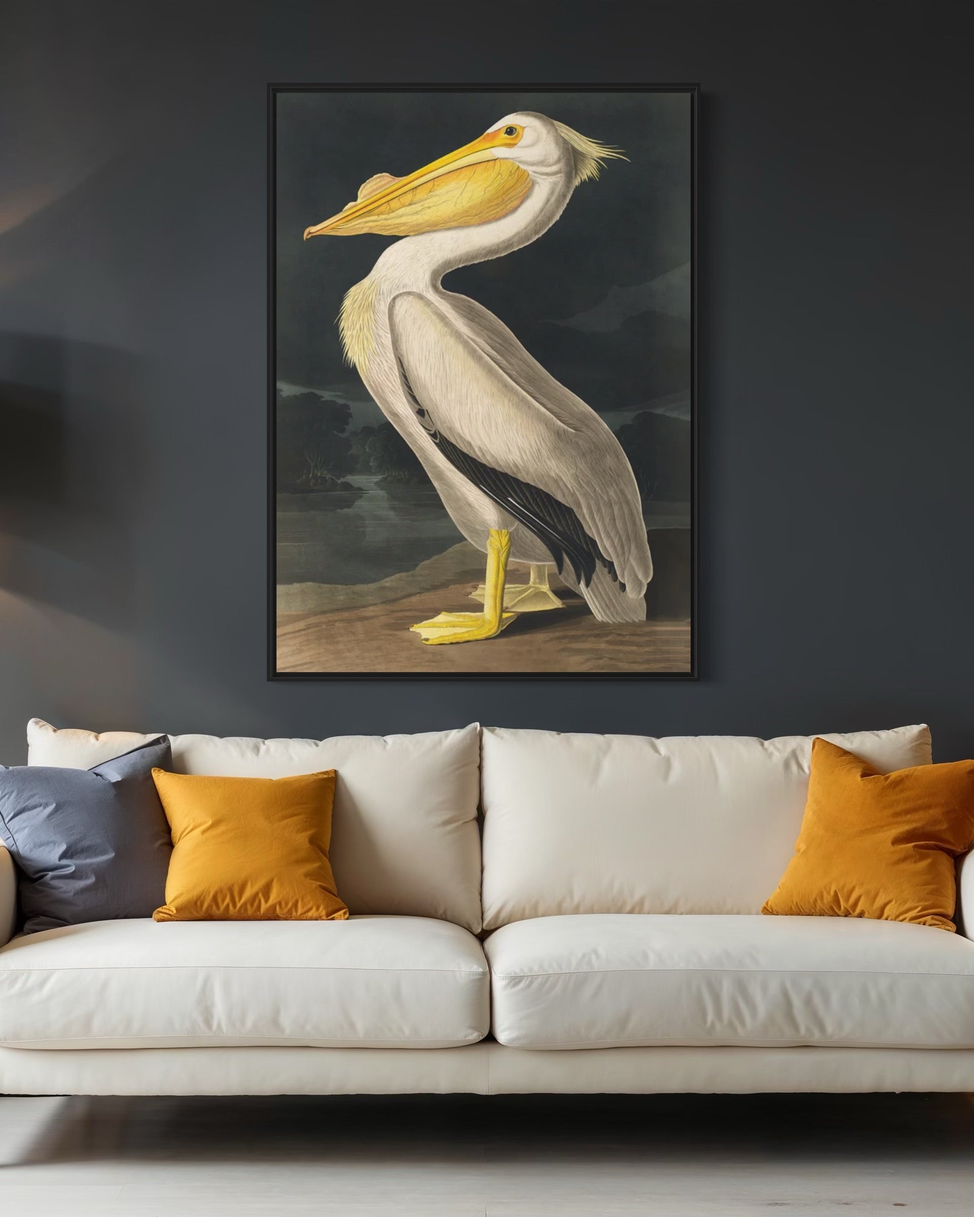 Audubon Pelican