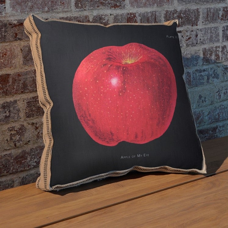 Apple of My Eye with piping pillow
