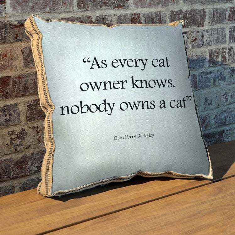 As every cat owner knows pillow