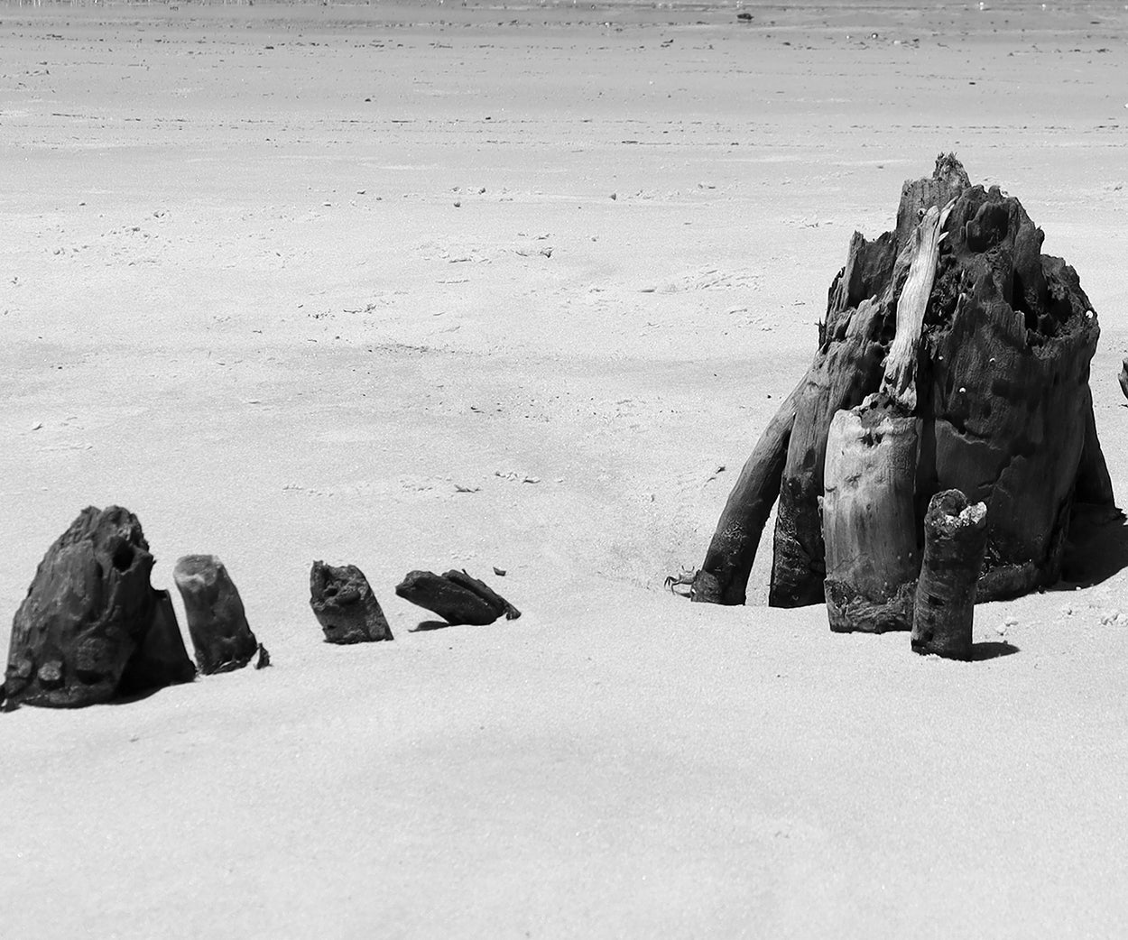 Odd Beach