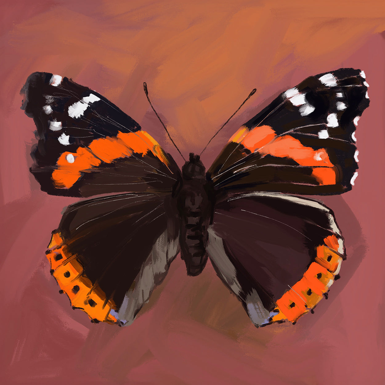 Red Admiral