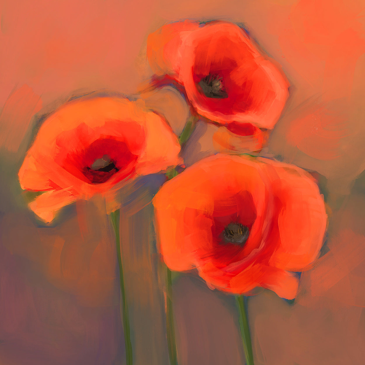 Poppy