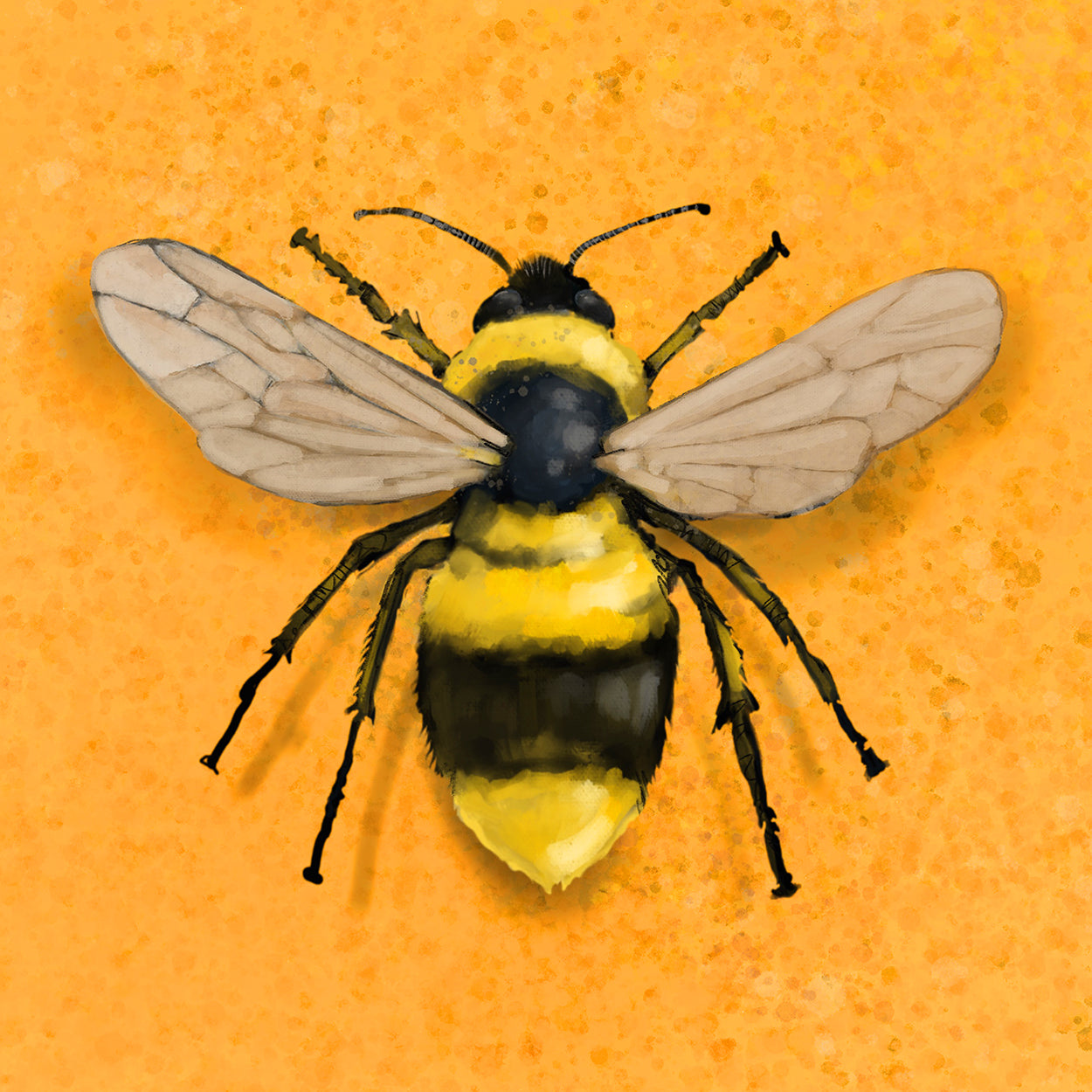 Yellow Bee