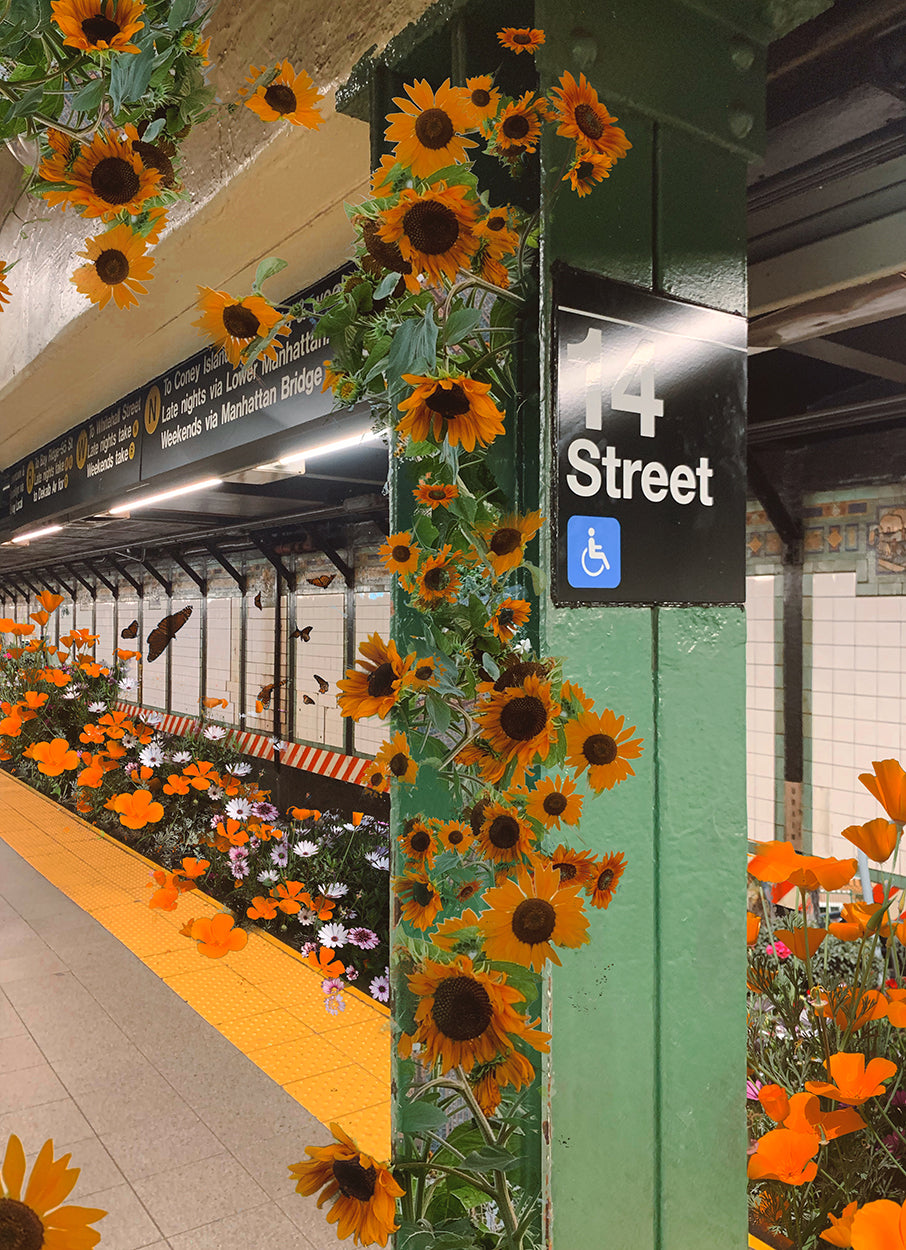 Union Square