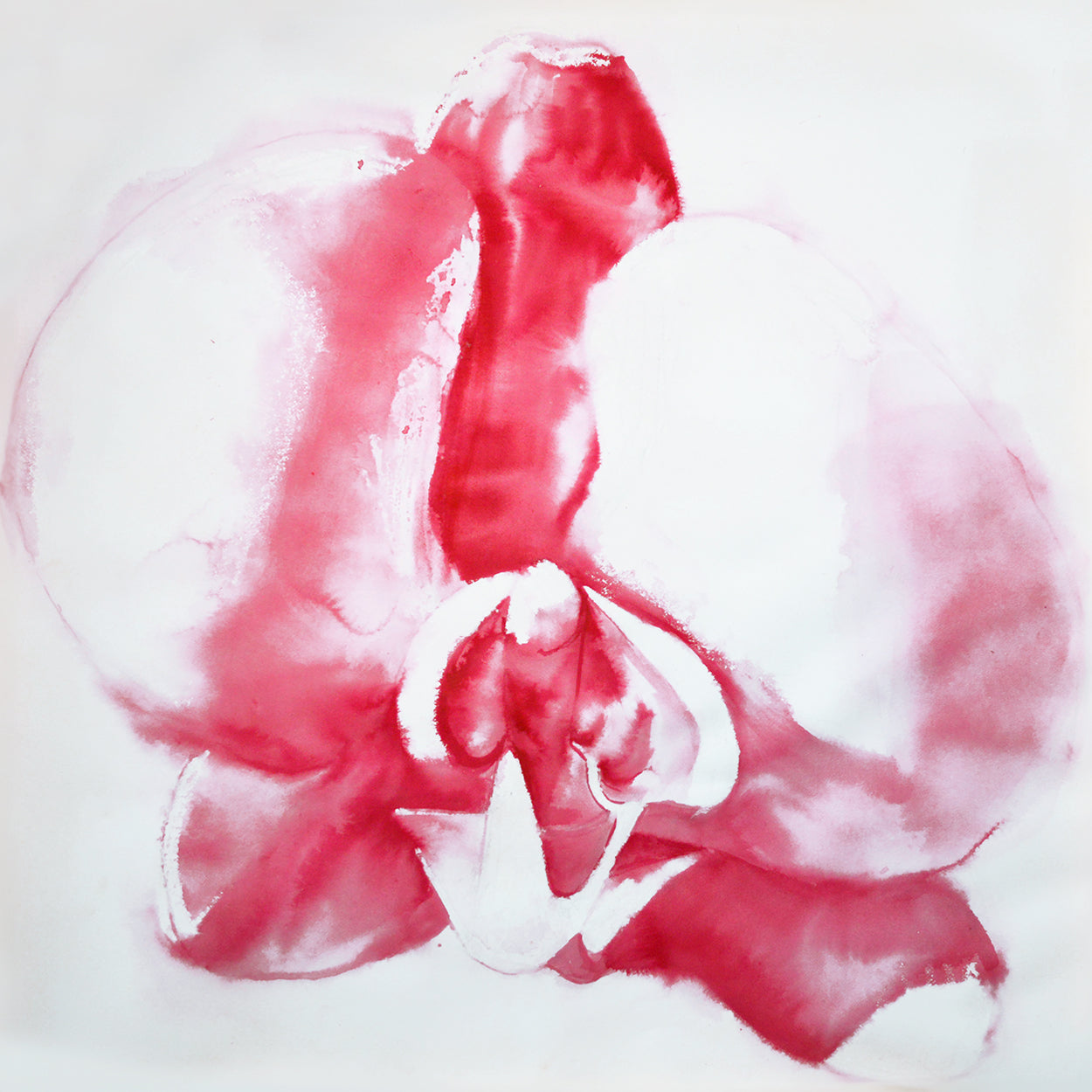 Orchid Red