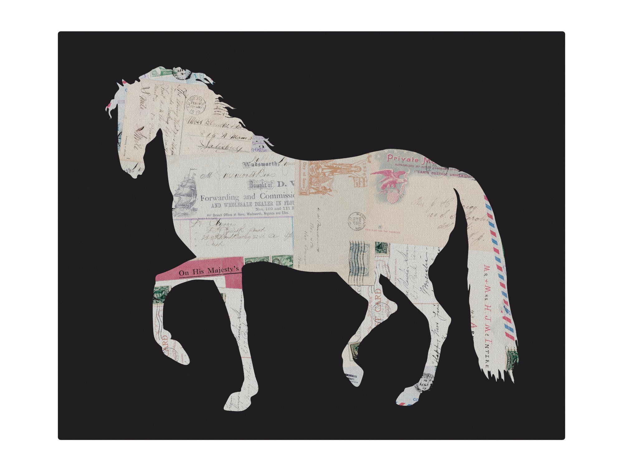Horse and Postcards
