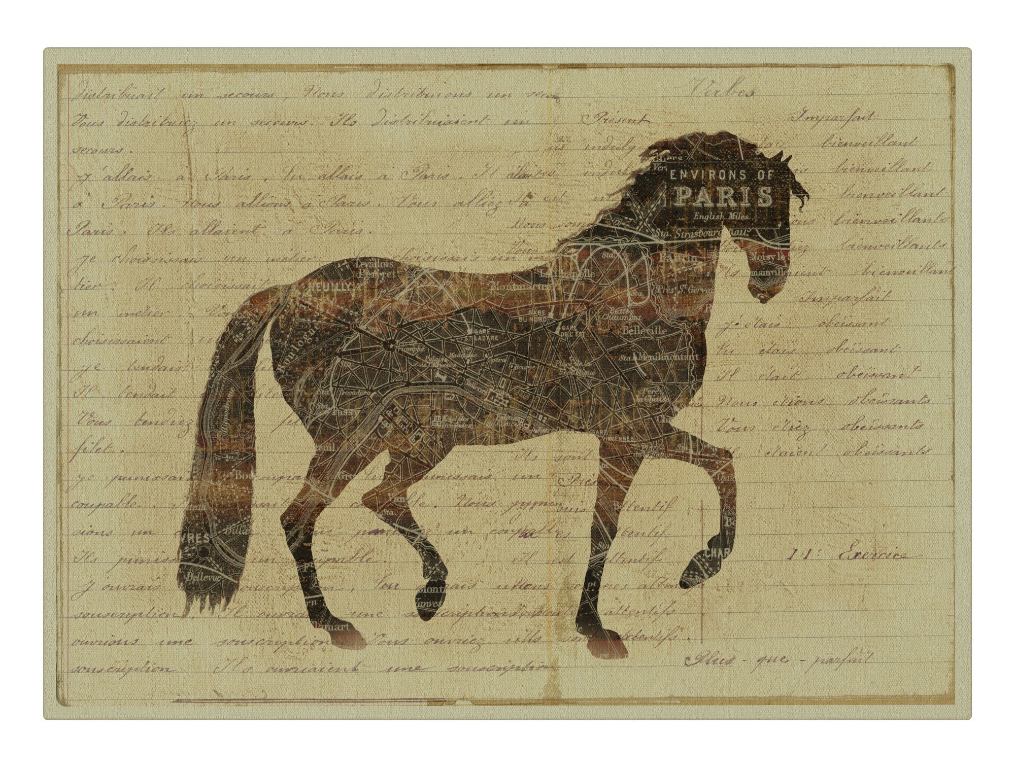 Horse and Script