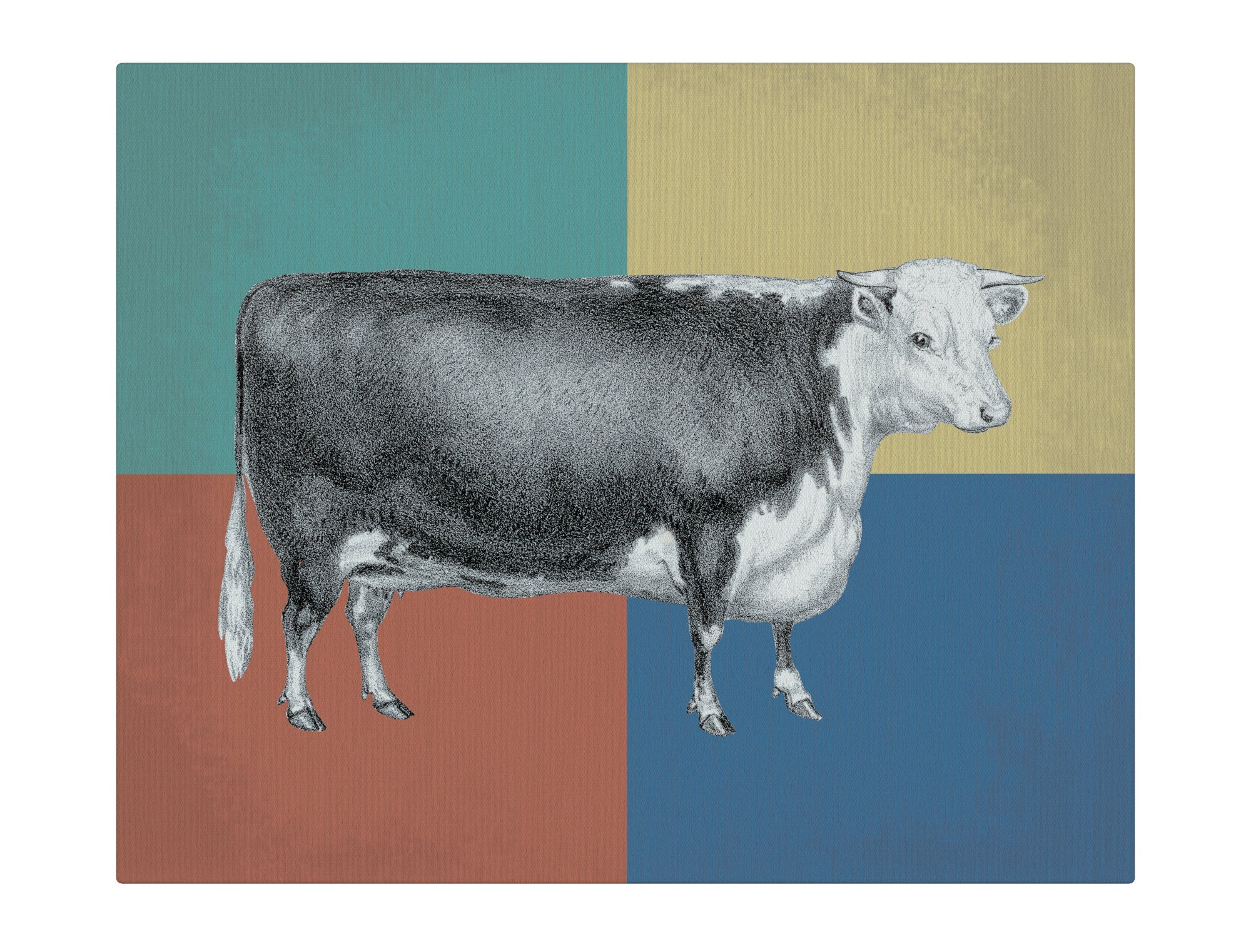 English Cow