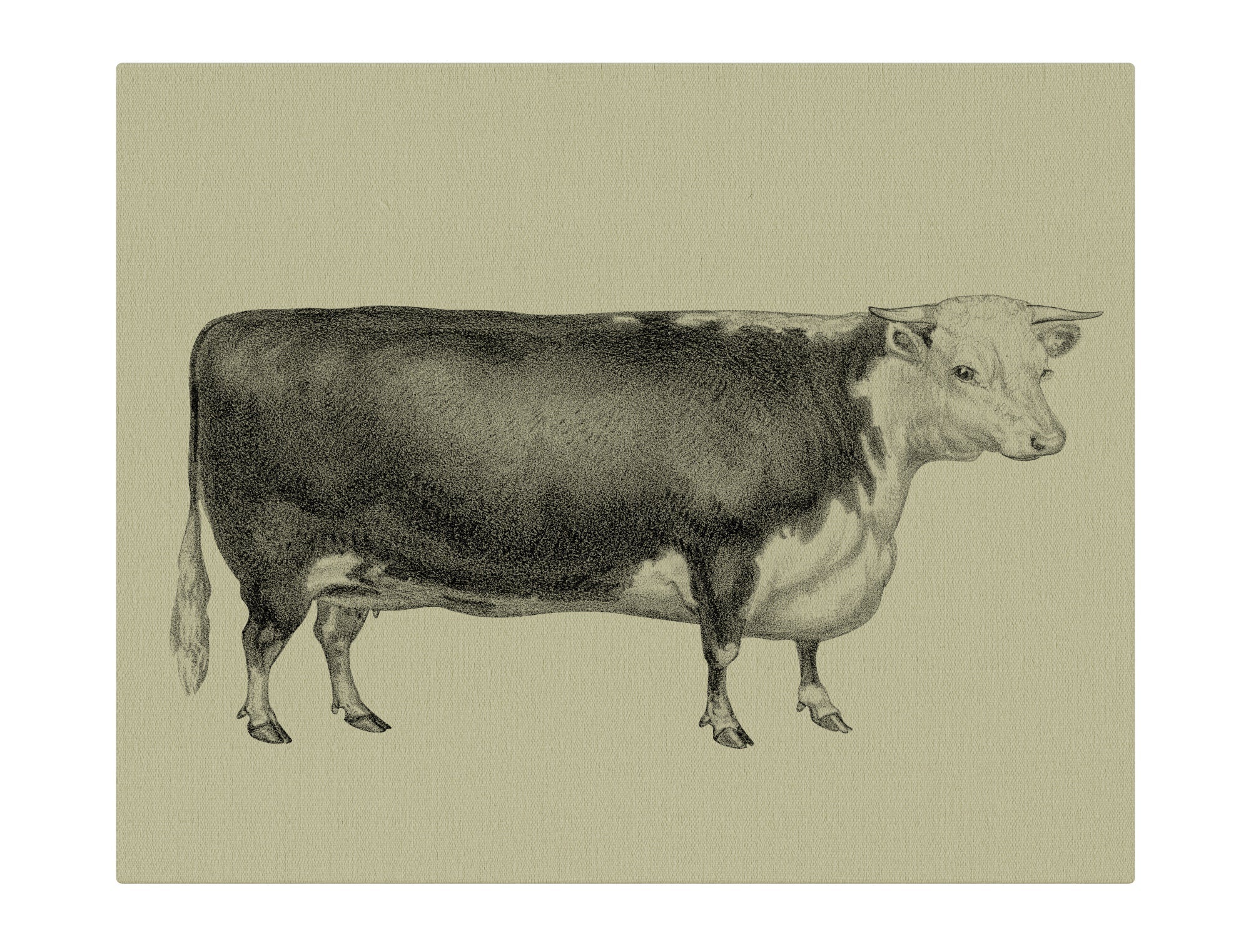 English Cow Natural