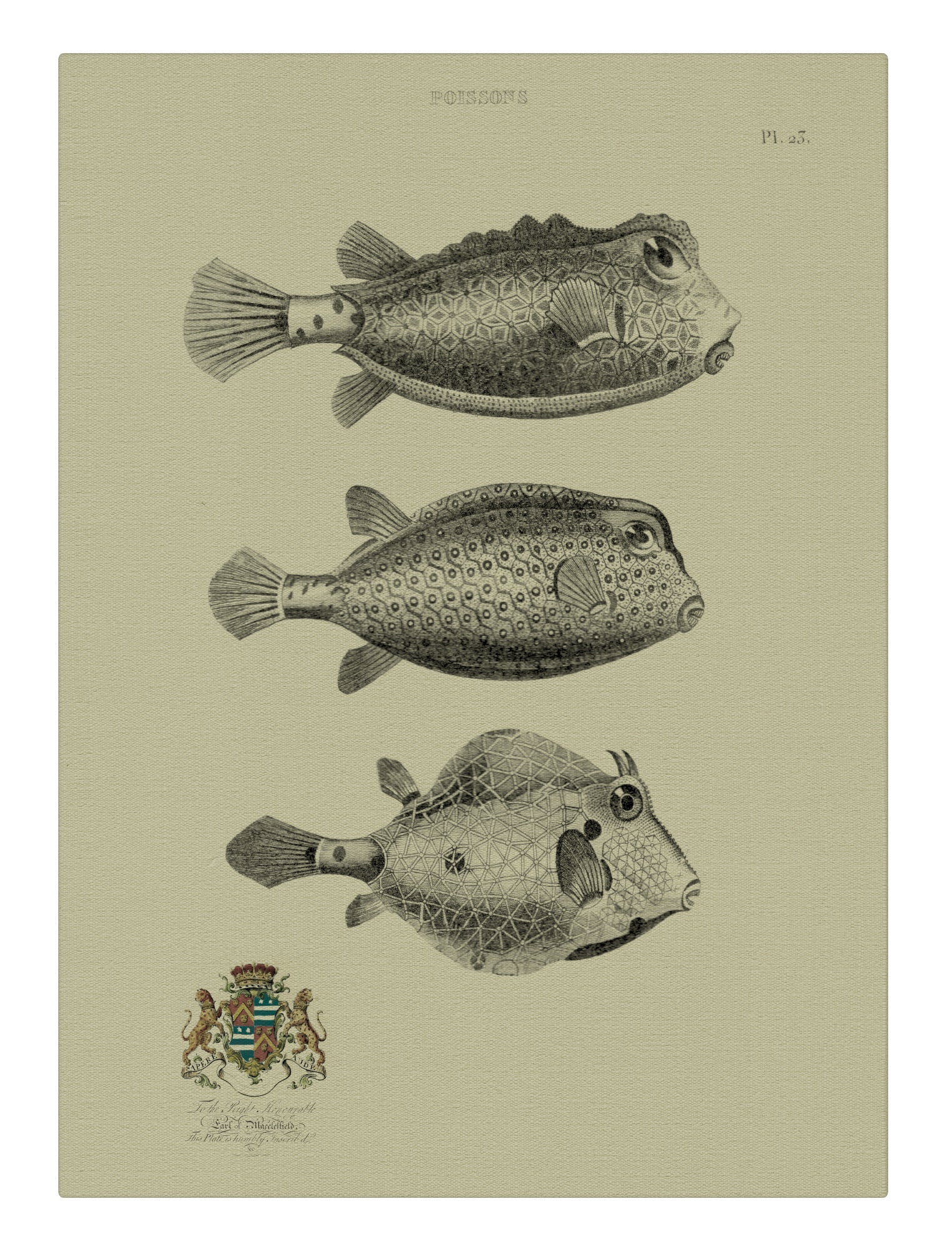 Poissions