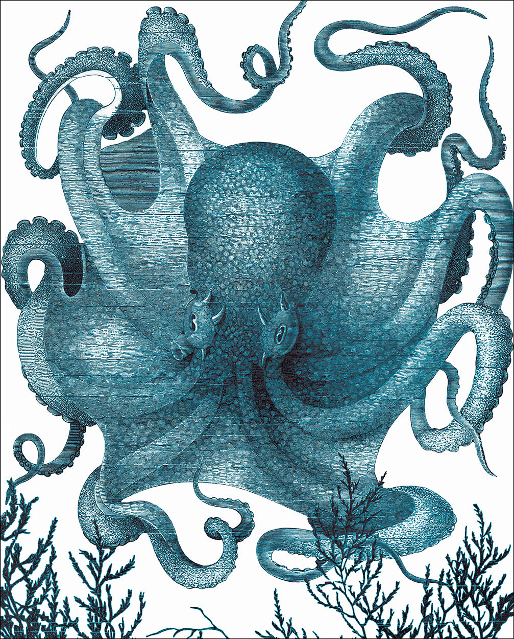 Octopus III Blue