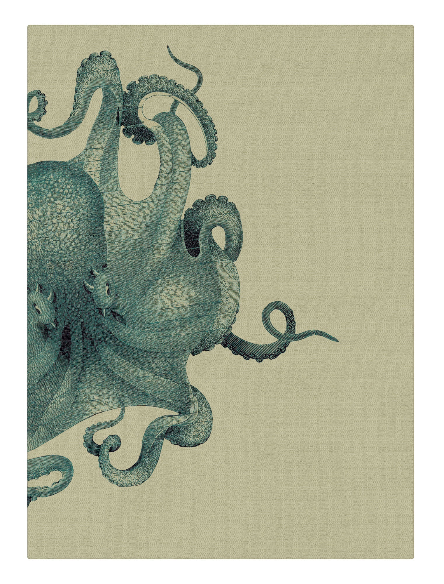 Octopus Study Blue