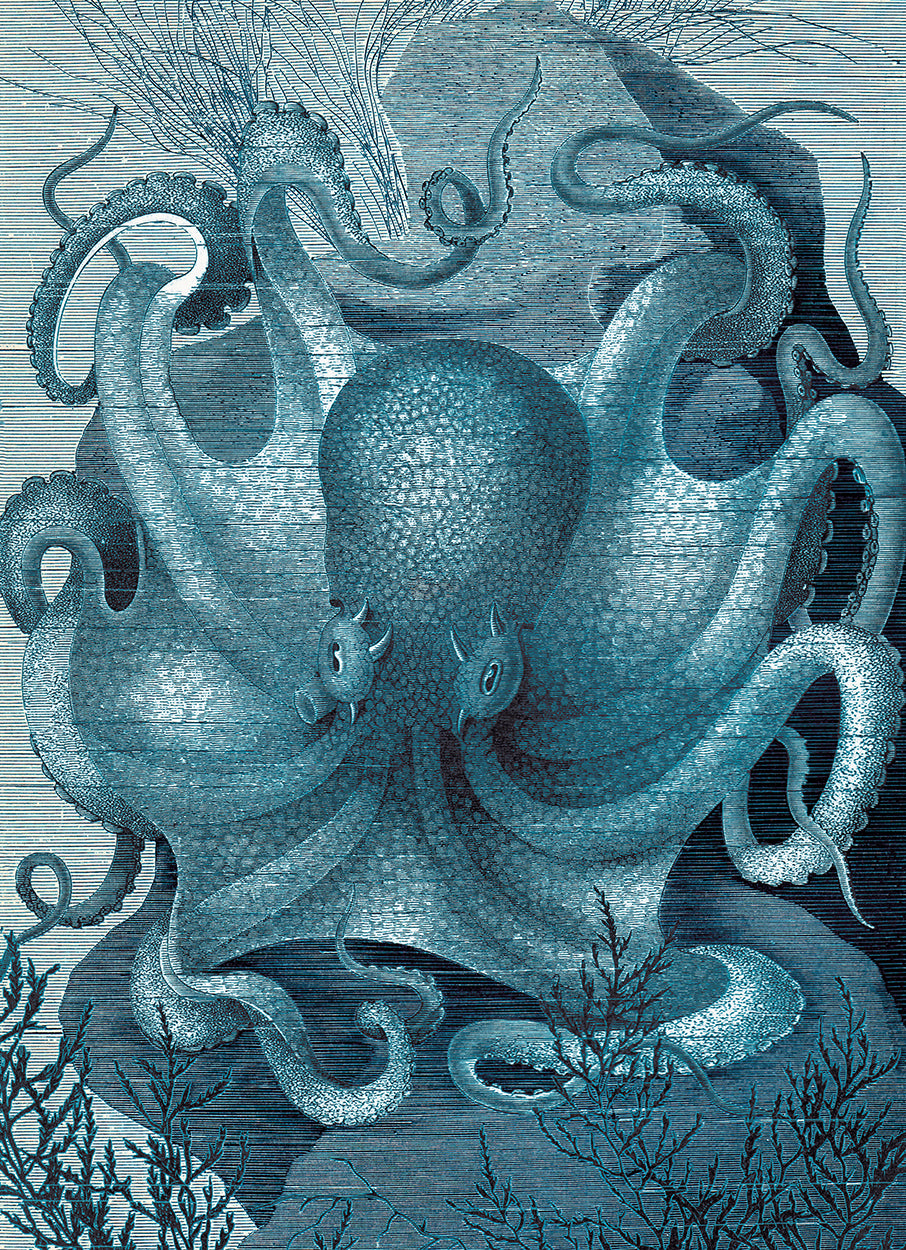 Octopus in the sea blue
