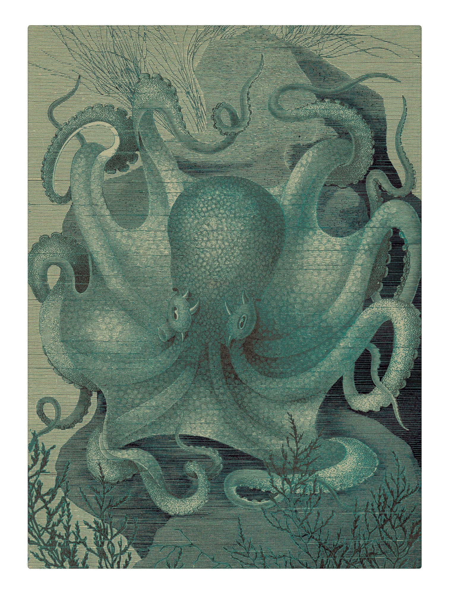 Octopus in the sea blue