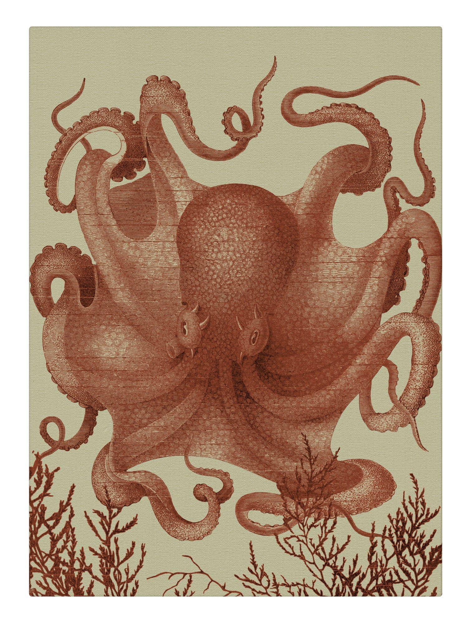 Octopus III Coral