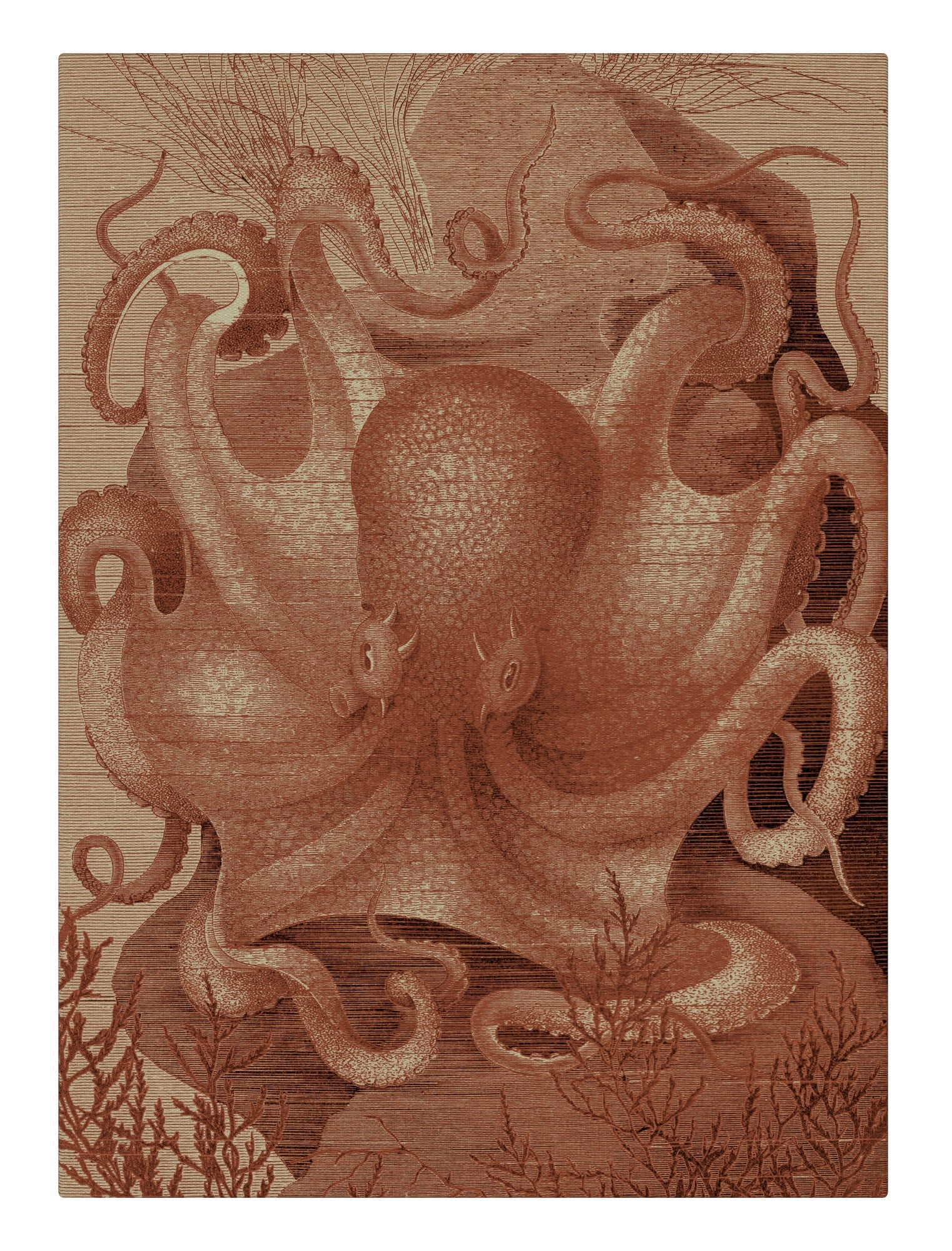 Octopus in the sea coral
