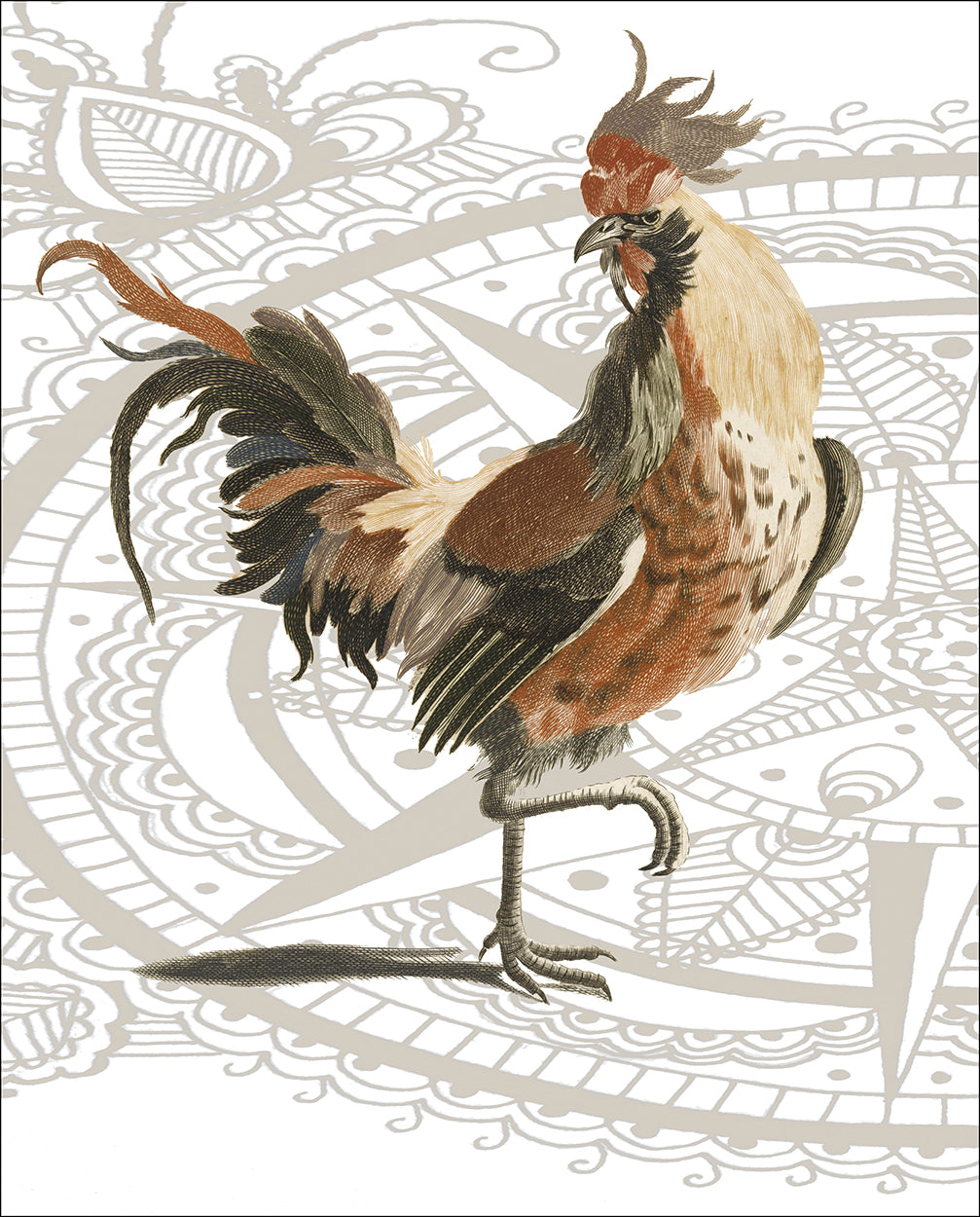 Rooster