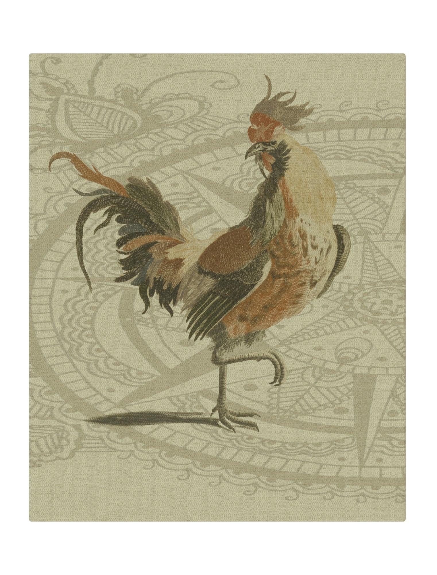 Rooster