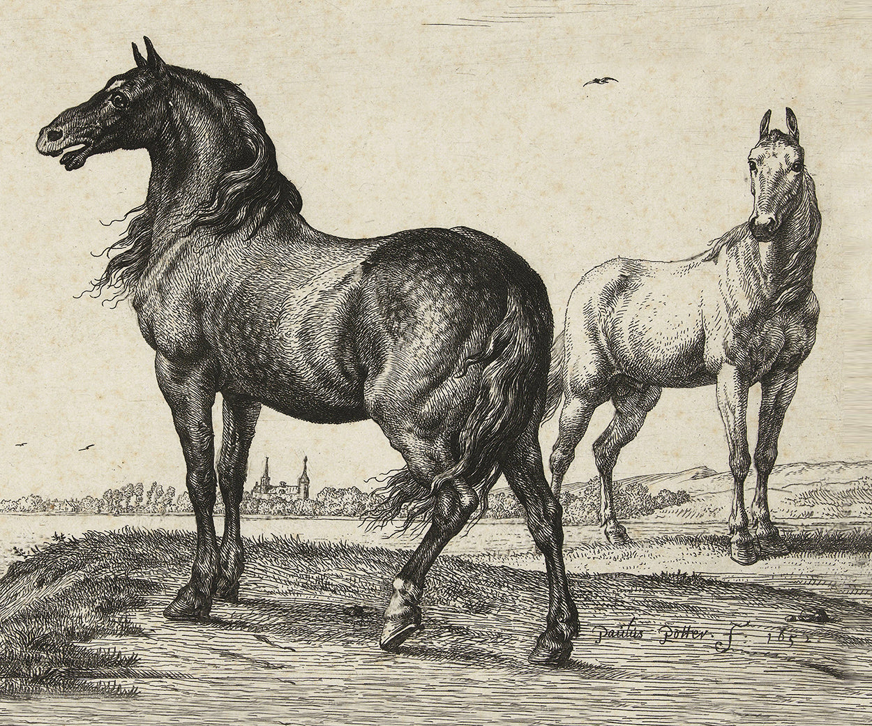 Horse Landscape
