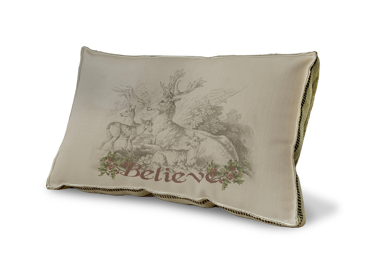 Believe pillow
