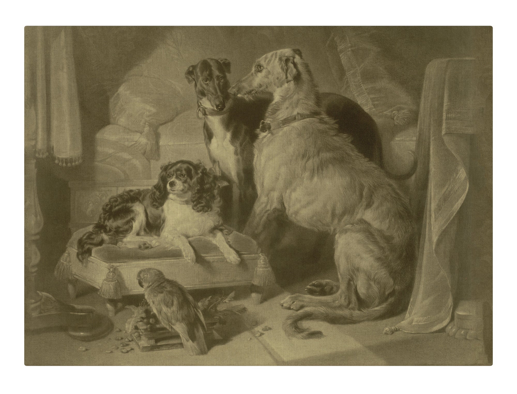 Three dogs and a parrot