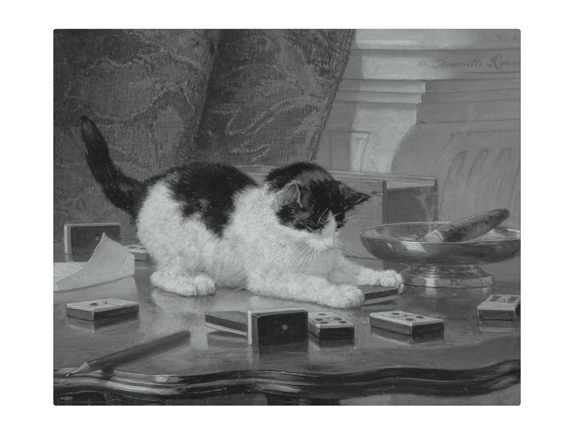 Cat on table