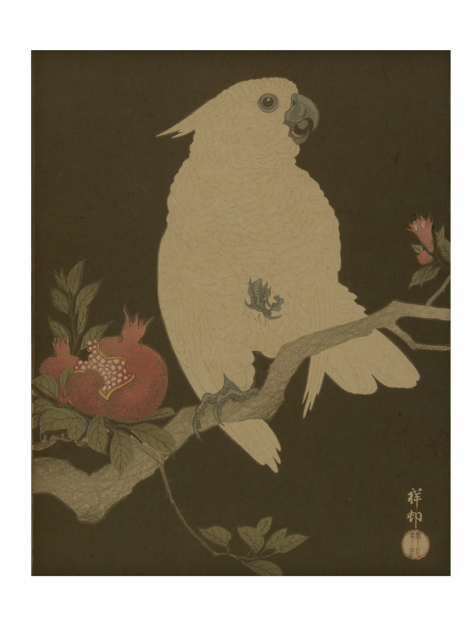 Parrot Hemp Panel