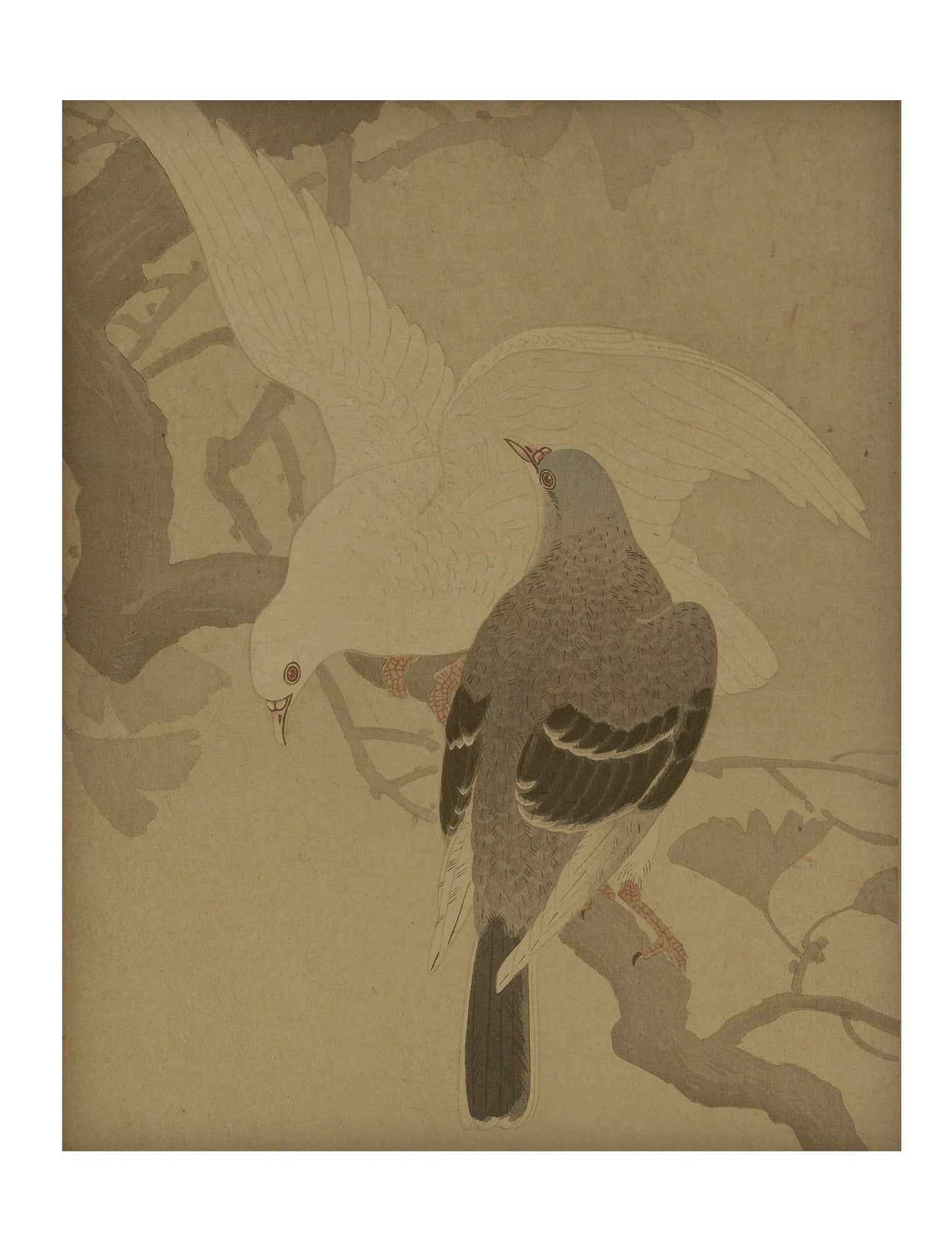Pigeons Hemp Panel