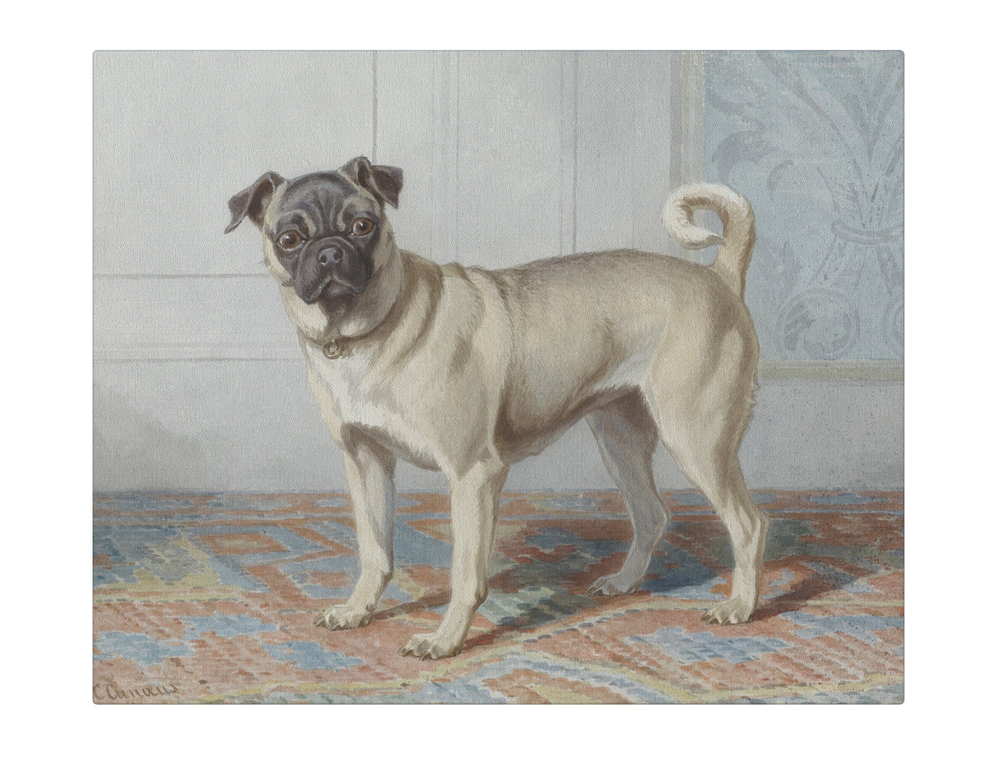 Pug
