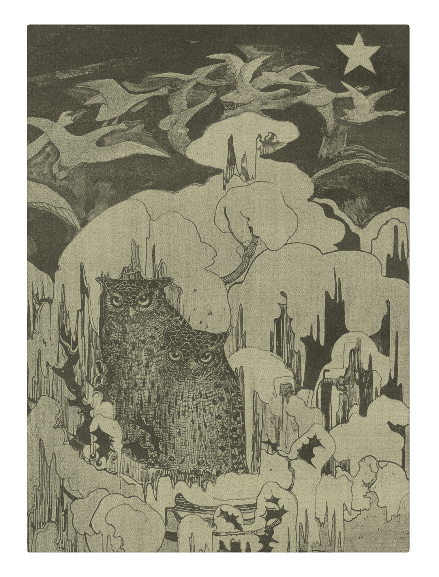 Owls in the Night