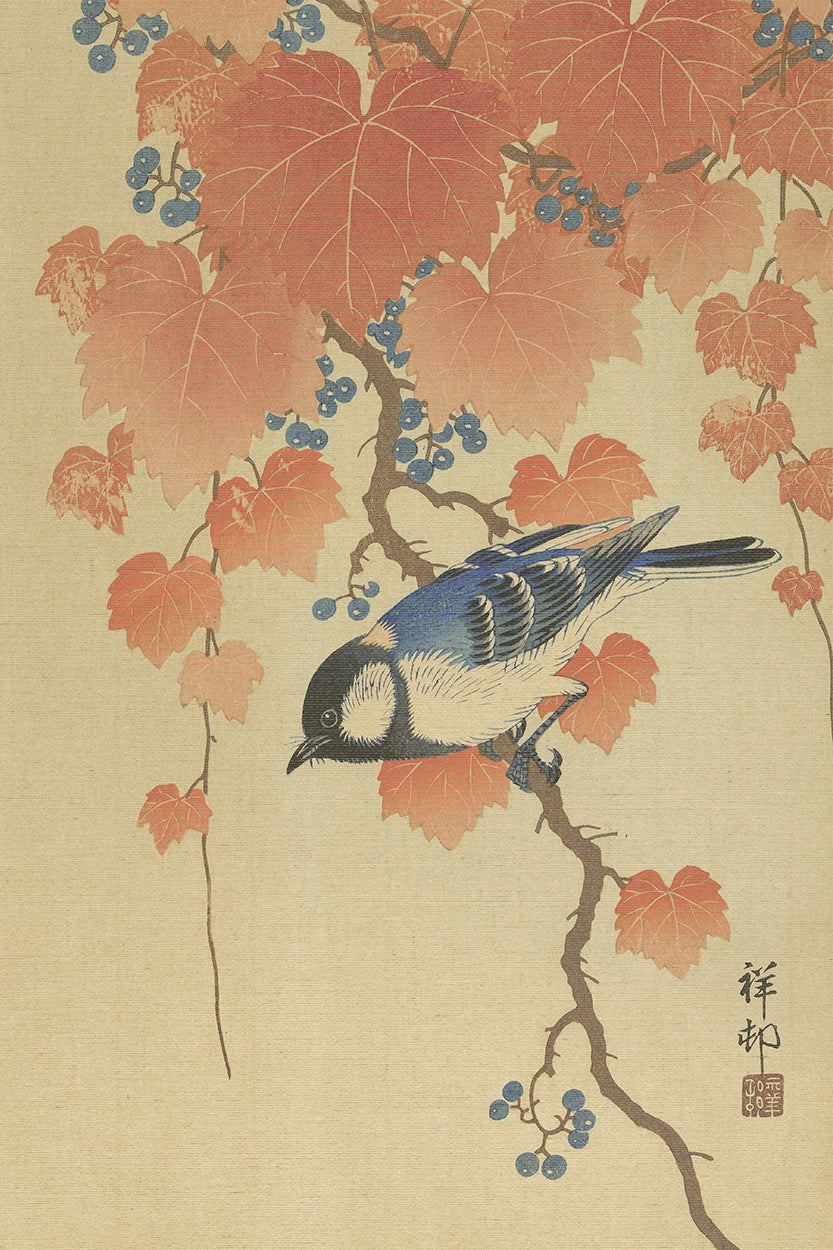 Blue Bird