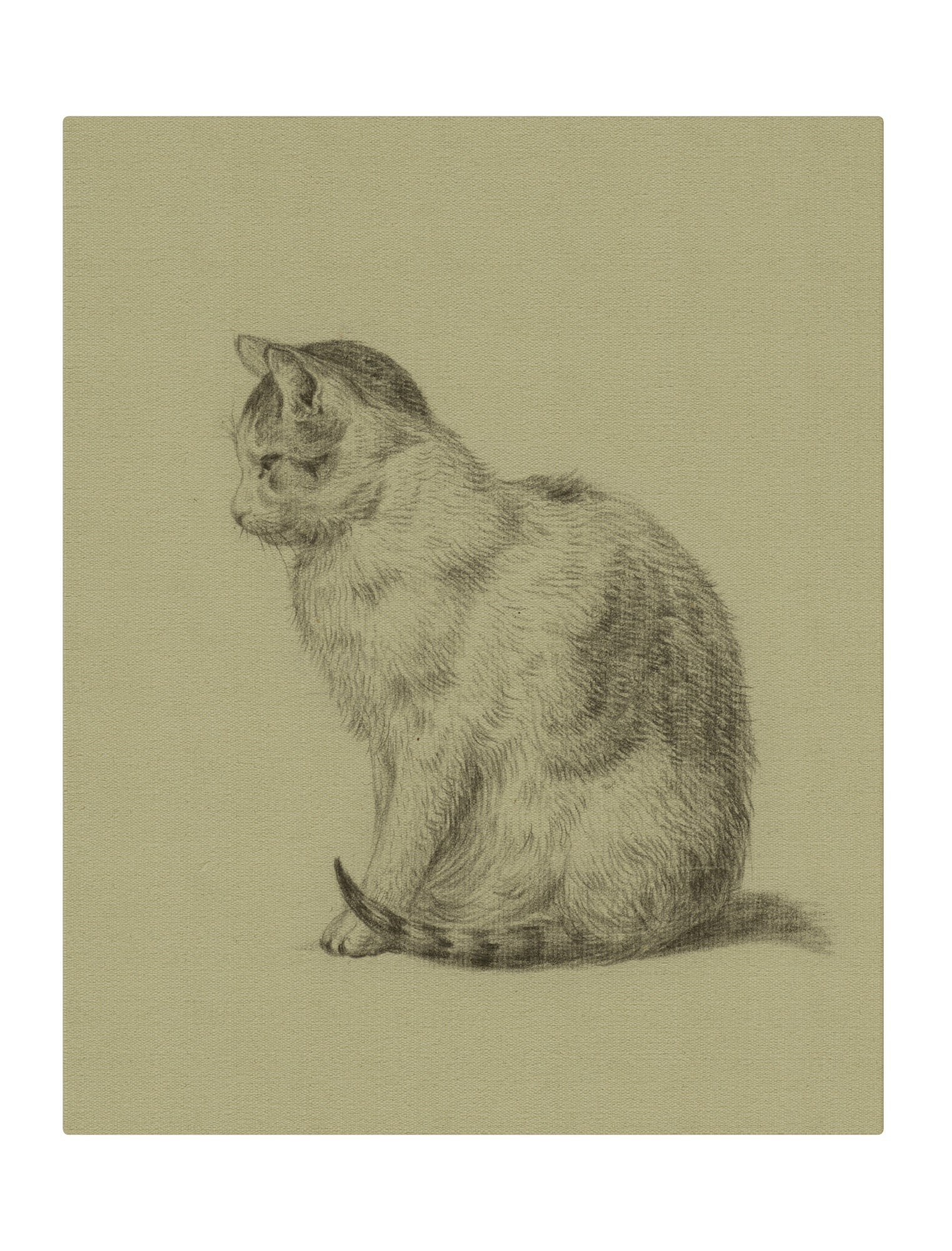 Cat I