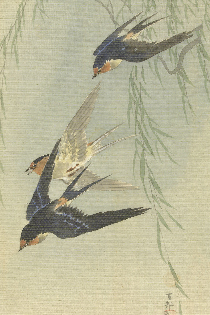 Bird and Willow Tree