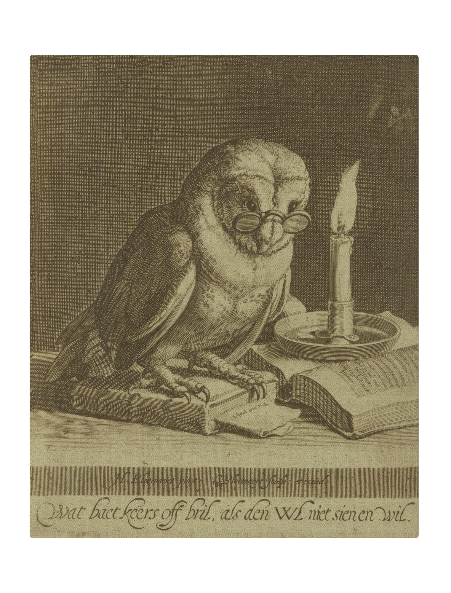 Owl I