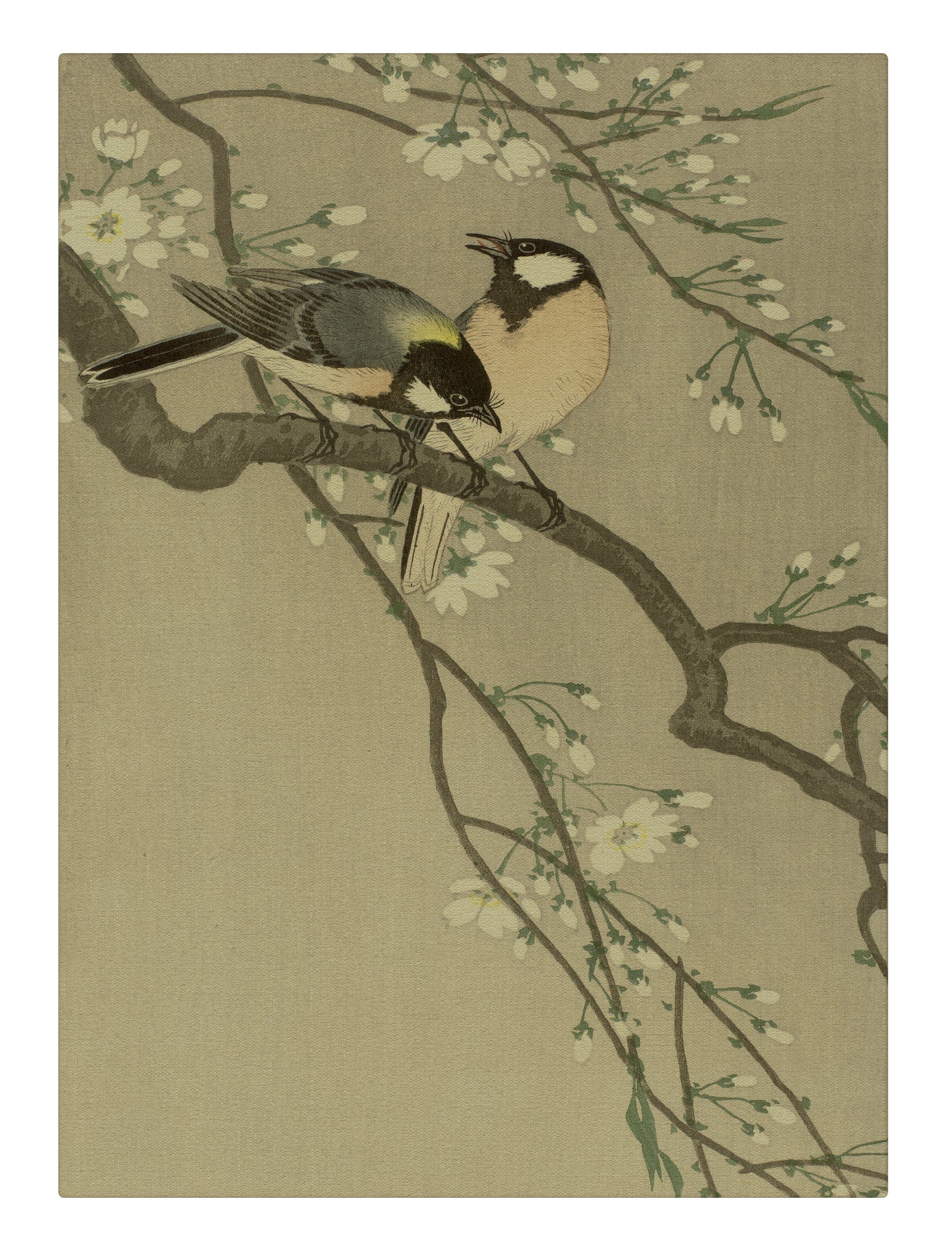 Bird Perching I
