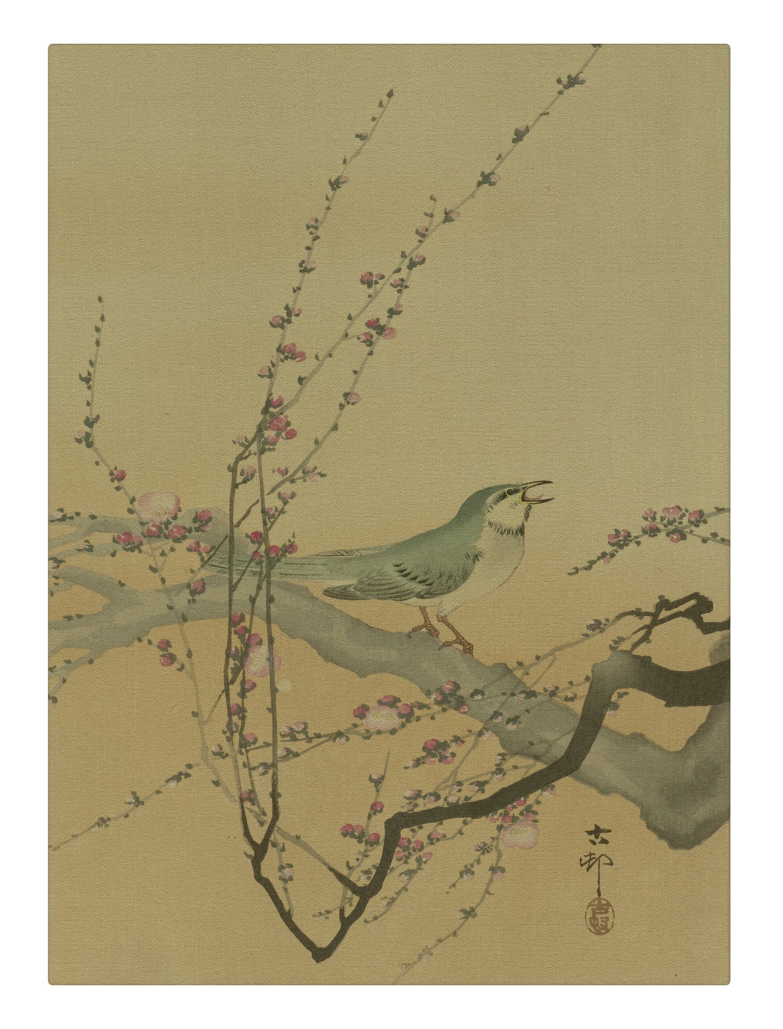 Bird Perching II