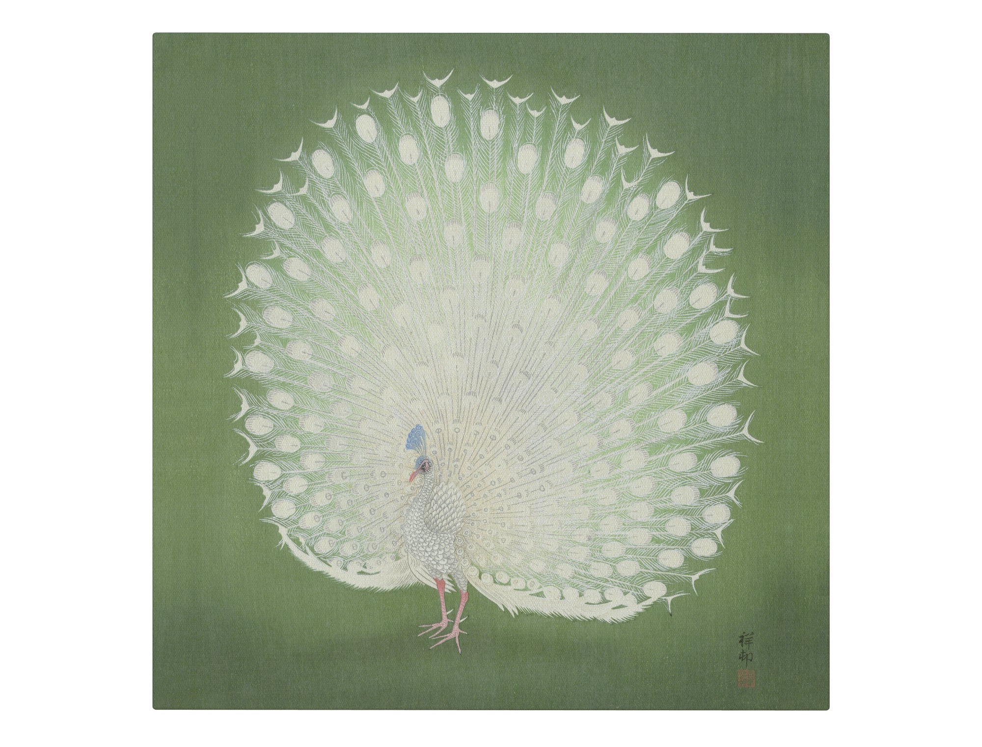 Peacock Pose II