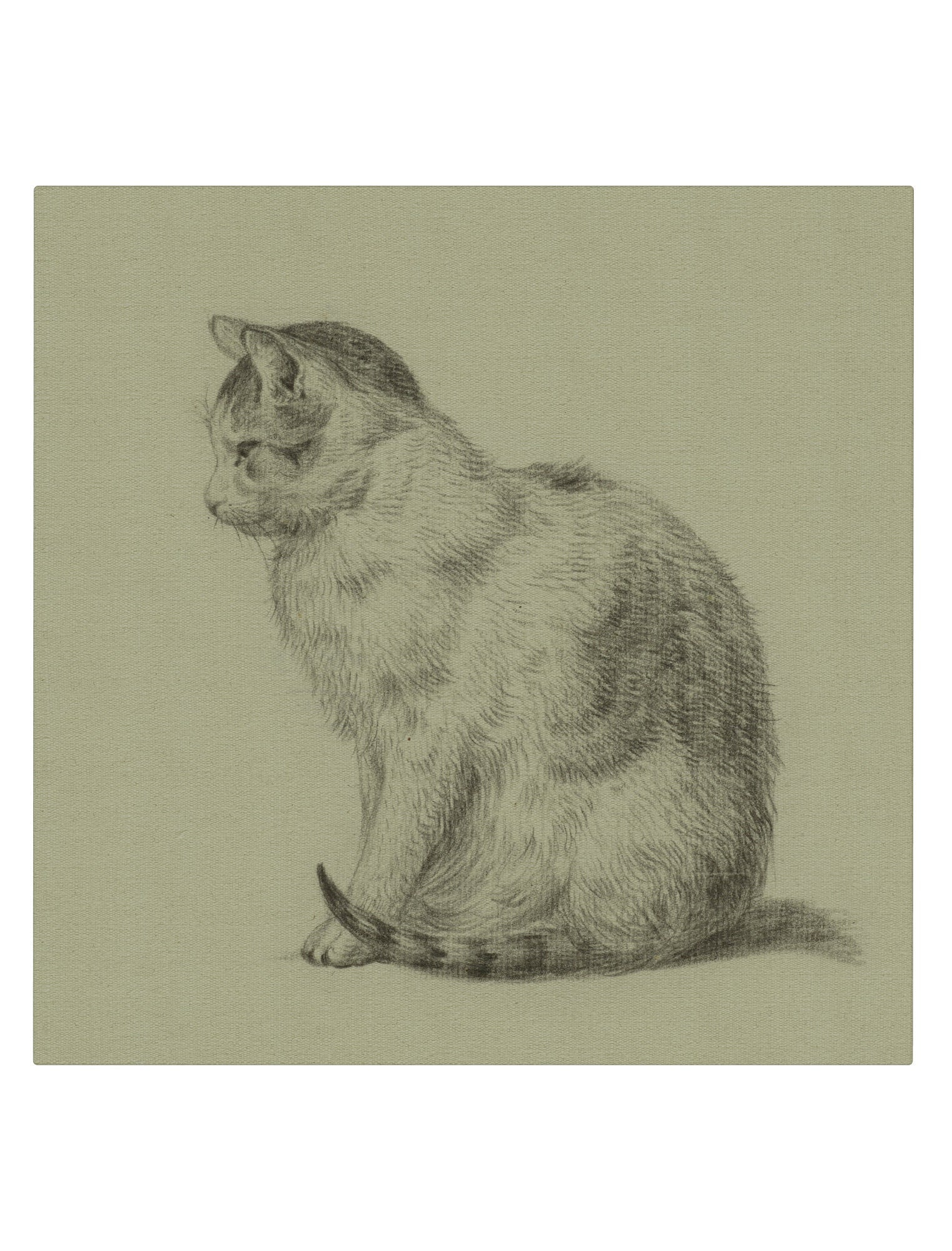 Cat I Square