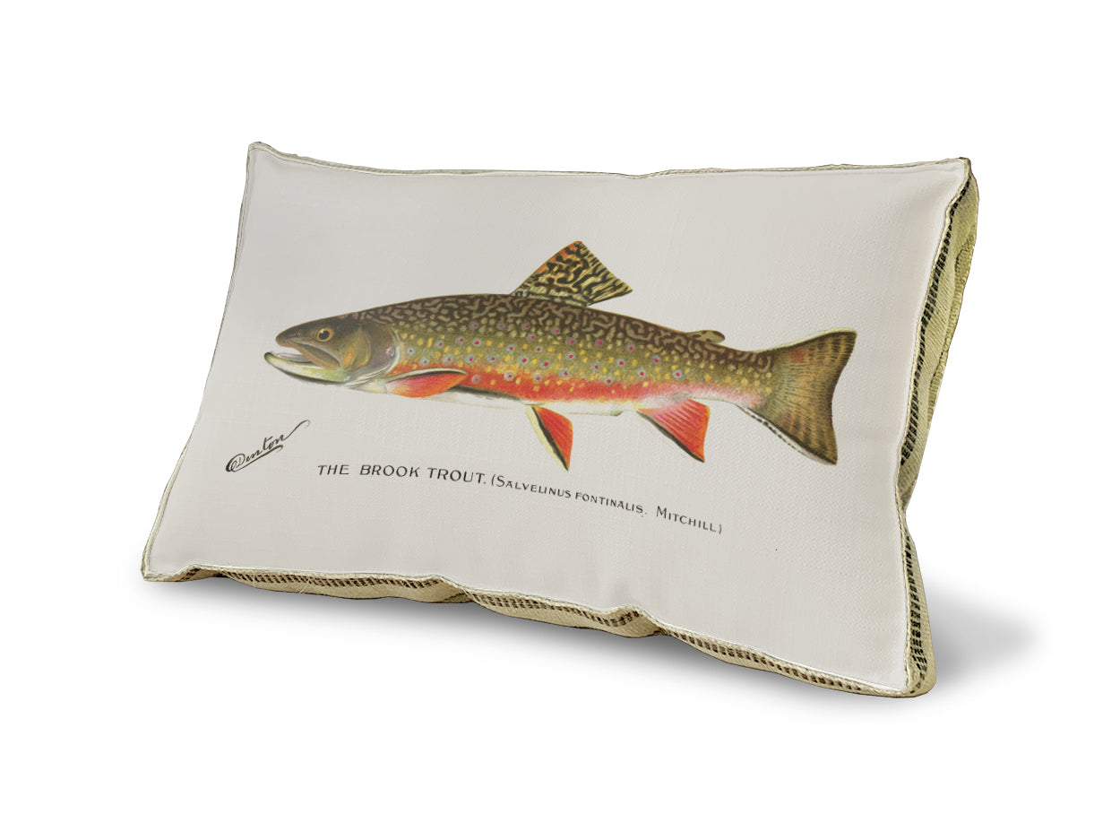 Brook Trout pillow