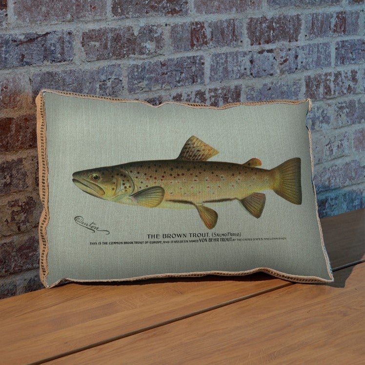 Brown Trout pillow