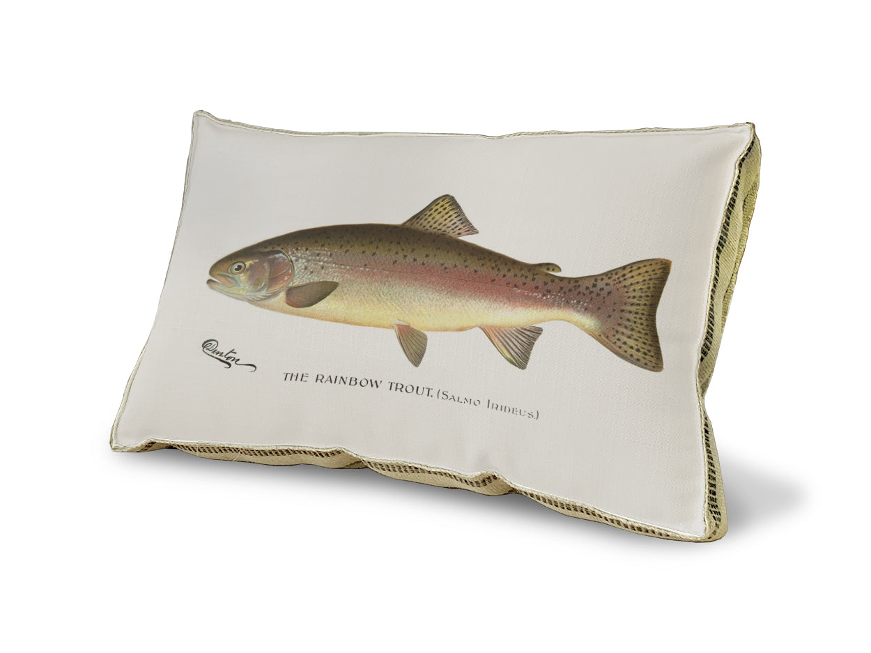 Rainbow Trout pillow