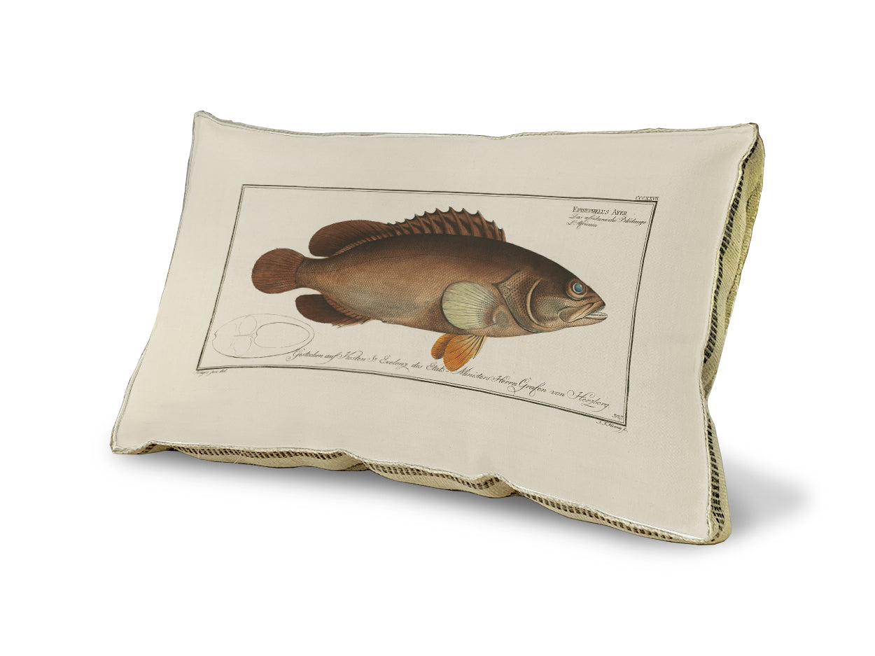 Black Grouper Pillow